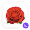 Rosa-APUS Launcher theme icon