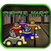 Turtle Kart icon