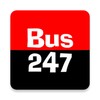 Pictogramă Bus247