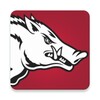 Icono de Razorbacks