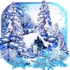 Winter Snow icon