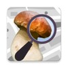 Mushroom Identificator icon