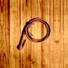 Icono de Whip Simulator