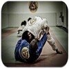 Judo Techniques icon