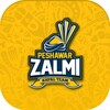 Icona di Official Peshawar Zalmi PSL Li