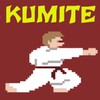 Fighting Kuro Obi Karate 2 icon