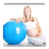 Pregnancy Calculater icon