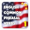 English Phrasal Verbs Master icon