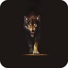 Wolves HQ Live Wallpaper icon