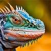 Iguana Wallpaper icon