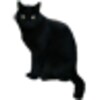 BlackCatSticker 아이콘