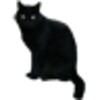 BlackCatSticker icon