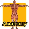 Anatomia 4 kids icon