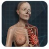 Female anatomy 3D realistic app icon