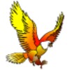 King Bird KSA / kingbirdksa / icon