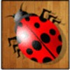 أيقونة The Beetle Game