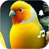 Birdsong: ringtones icon