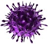 Virus Diagnostic icon