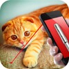 Laser Cat Simulator 2016 icon