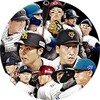 Professional Baseball Spirits A 아이콘