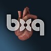 أيقونة bodyxq heart