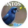 Canto dos Pássaros Brasil icon