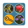 Plants of SE NSW icon