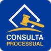 Икона Consulta Processual