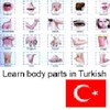 Learn Body Parts in Turkish 图标