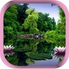 Nature HD Live Wallpapers icon