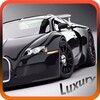 Luxury Car Driving icon
