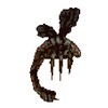Arnallia icon