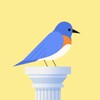 Bouncy Bird: Casual Flap Game icon