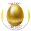 أيقونة Egg and Chicken Rates