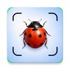 Icono de Insect Spider & Bug identifier
