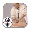 Qigong Massage: Partner icon