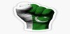 Pakistan Browser 4G icon