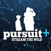 Икона PursuitUP