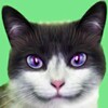 KittyZ Cat - Virtual Pet to ta icon