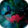 Peacock Butterfly and Red Spider Lily icon