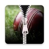 Cricket Zipper Lock Screen 2019 icon