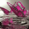 Pink Butterflies On Water Live Wallpaper icon