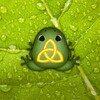 Pocket Frogs icon