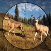 Deer Hunting Sniper Hunter : Shooting Simulator icon