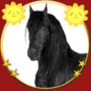 mybabyloveshorses icon