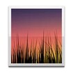 Live Wallpaper Picker feature