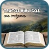 Textos Biblicos en imágenes icon
