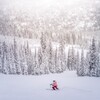 The most beautiful pictures and backgrounds for winter and snow icon