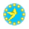 Screen Clock icon