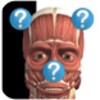 Anatomy Quiz Lite icon